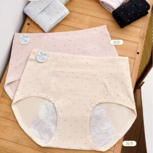 Leakproof Period Panty (পকেটসহ)